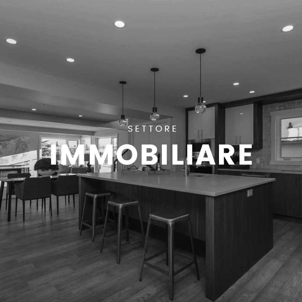Settore-Immobiliare-Digital-Producer-agenzia-di-marketing-roma-castelli-romani