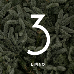door-3° Regalo