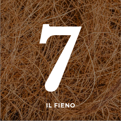 door-7° Regalo
